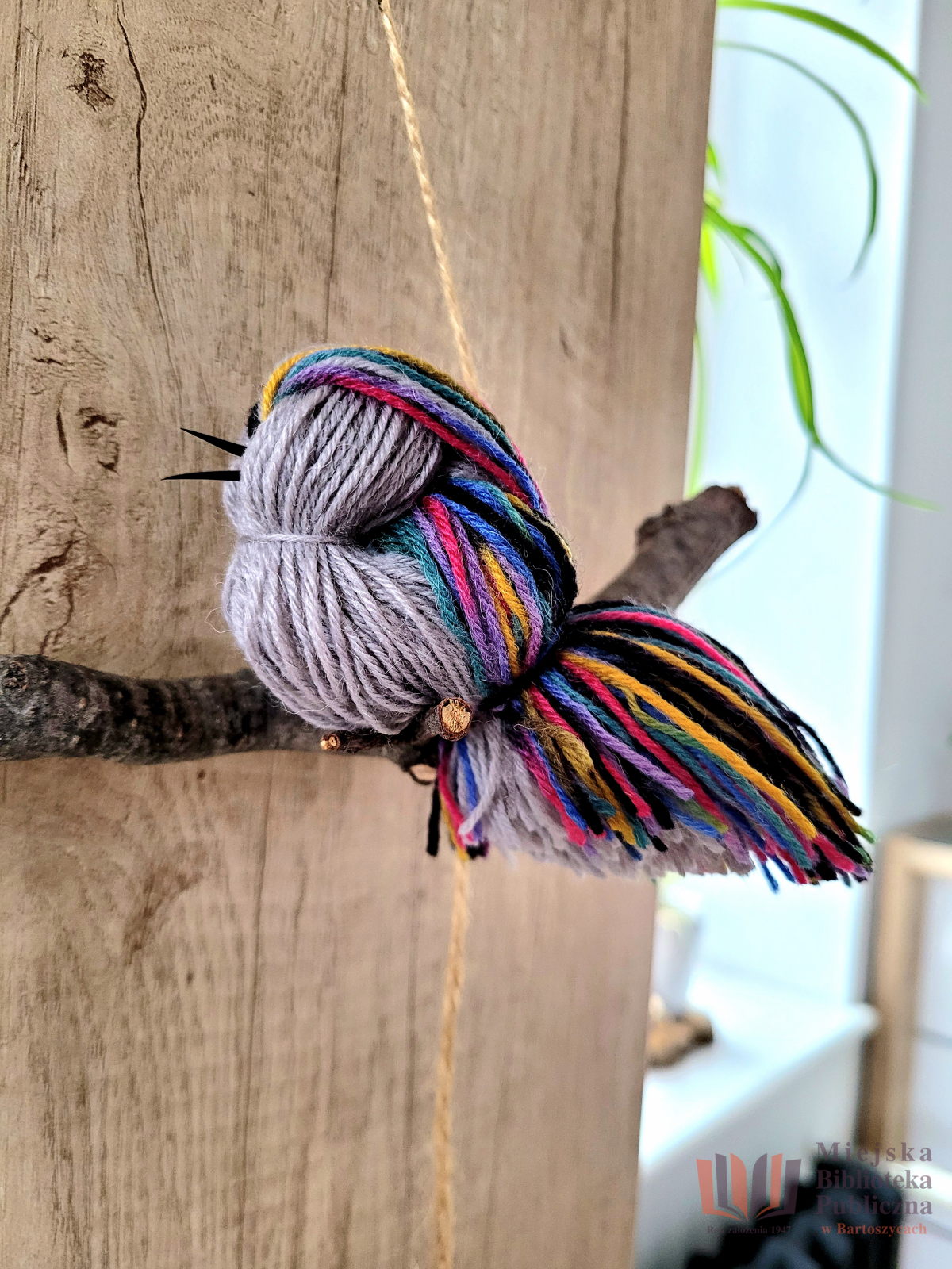 Ptasie opowieści z makramy