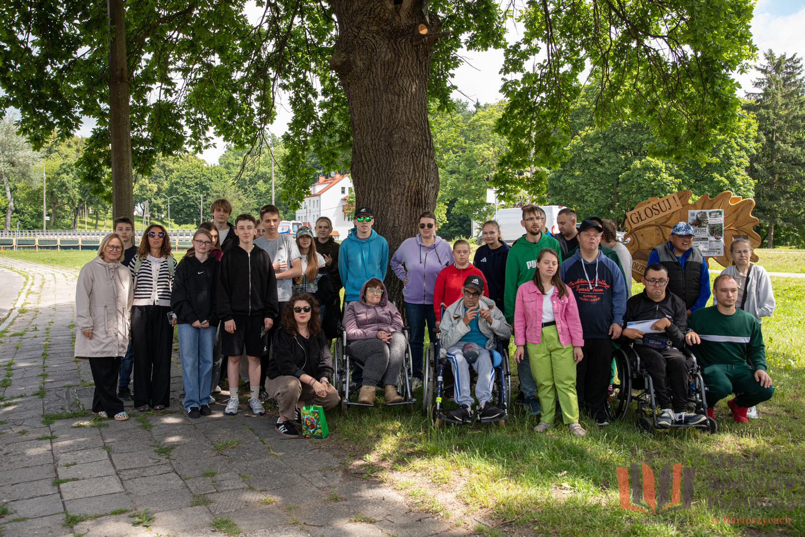 Biblioteka i uczniowie wspierają Dąb Bartosz w konkursie Drzewo Roku 2026